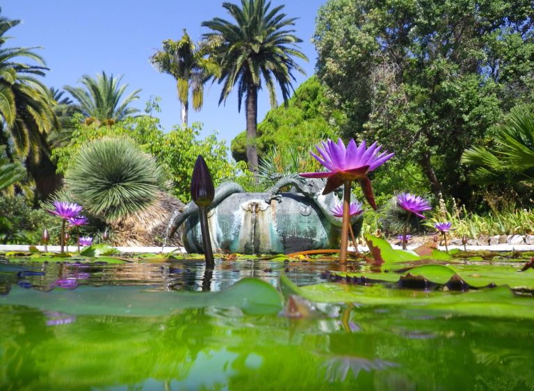 Côte d’Azur : des travaux prévus pour ce joyau de Menton, vous pouvez soutenir la renaissance de ce remarquable jardin