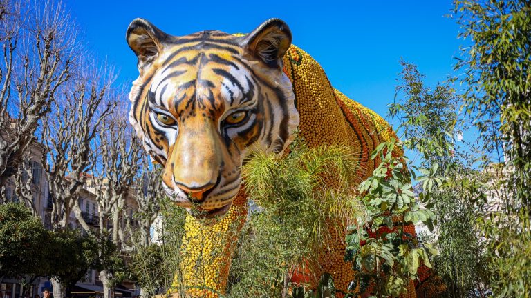 « Un hommage à la France » : on connaît le thème de la Fête du Citron 2027 à Menton, avec une grande nouveauté au programme Fête du Citron
