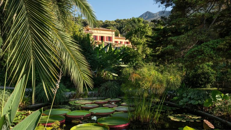 À Menton, ce spectaculaire jardin botanique vous transporte sous les tropiques avec près de 1 800 espèces rares menton-jardin-val-rahmeh