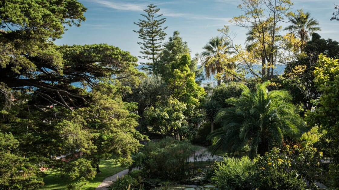 jardin Val Rahmeh vue générale de la nature