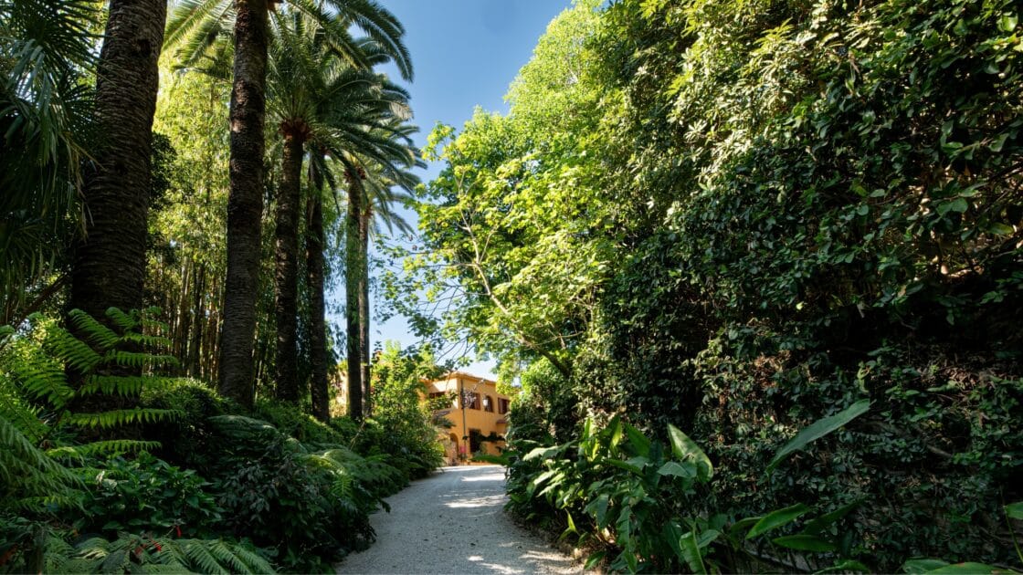 allée arborée du jardin Val Rahmeh menton