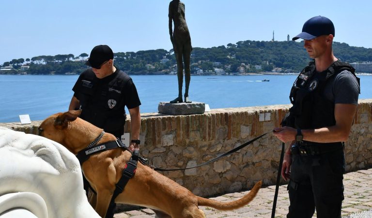 Menton. Un cane da guardia atteso, presto arriveranno altre due: la polizia municipale continua il suo rinforzo nonostante la concorrenza di Monaco« Brigata cinofila