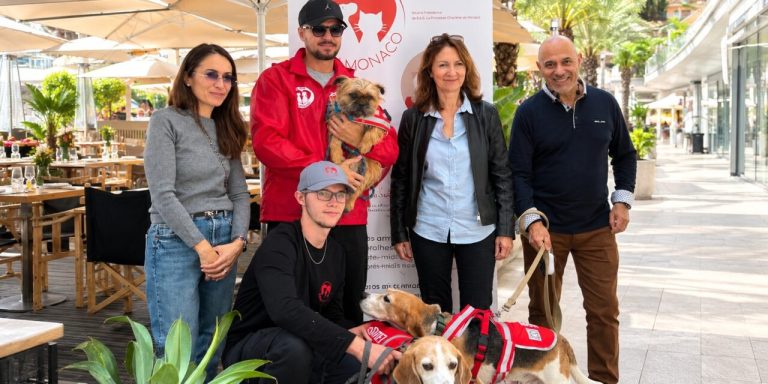 Près de Menton, savez-vous qu'il est possible de boire un café avec des chiens à adopter Ce rendez-vous pourrait devenir mensuel